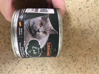 猫罐头