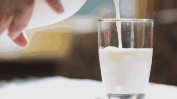 食客：“全脂牛奶会发胖？”真的吗？才不会！全脂牛奶是真的香！