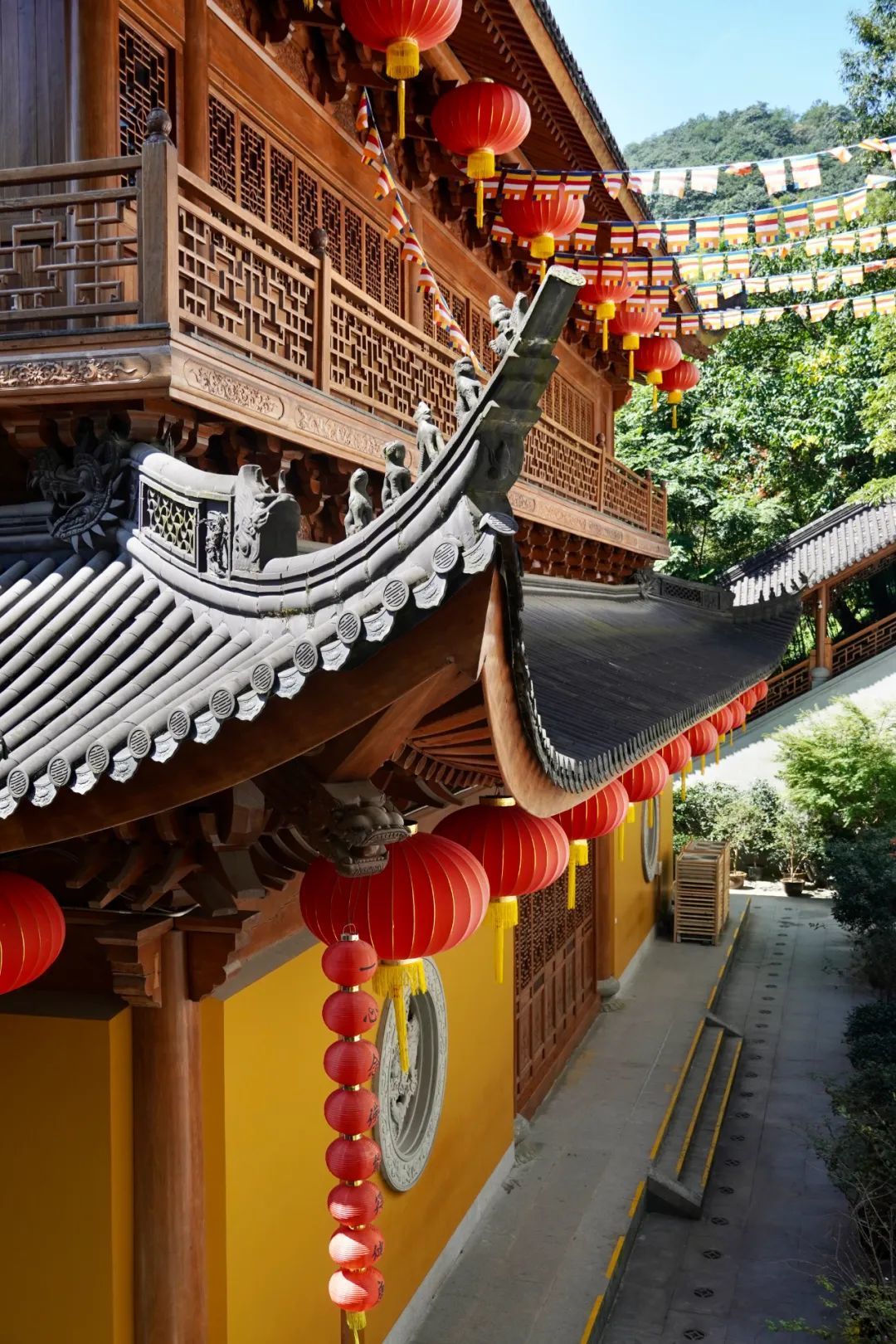 杭州人吃了千年的素月饼 | "网红"法喜寺表现如何?