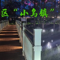 海上公园 篇六：夜晚的徐汇区华泾公园，著有小乌镇之称（夜景游览）