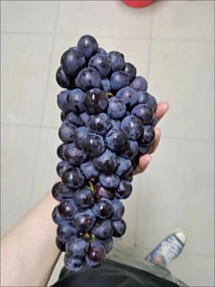 夏黑葡萄