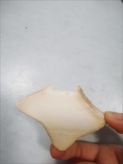 饼干