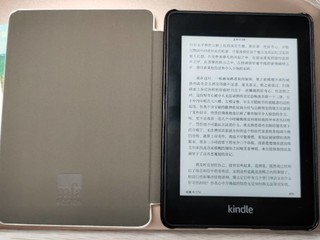 狗东清仓价9.9的kindle莫奈保护壳