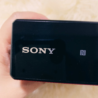 论音质还是看sony