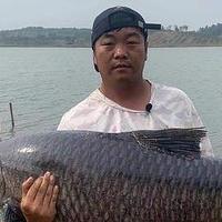 安徽一男子钓上65斤重大青鱼，8个人分着吃，网友：可惜了