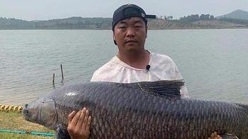 安徽一男子钓上65斤重大青鱼，8个人分着吃，网友：可惜了