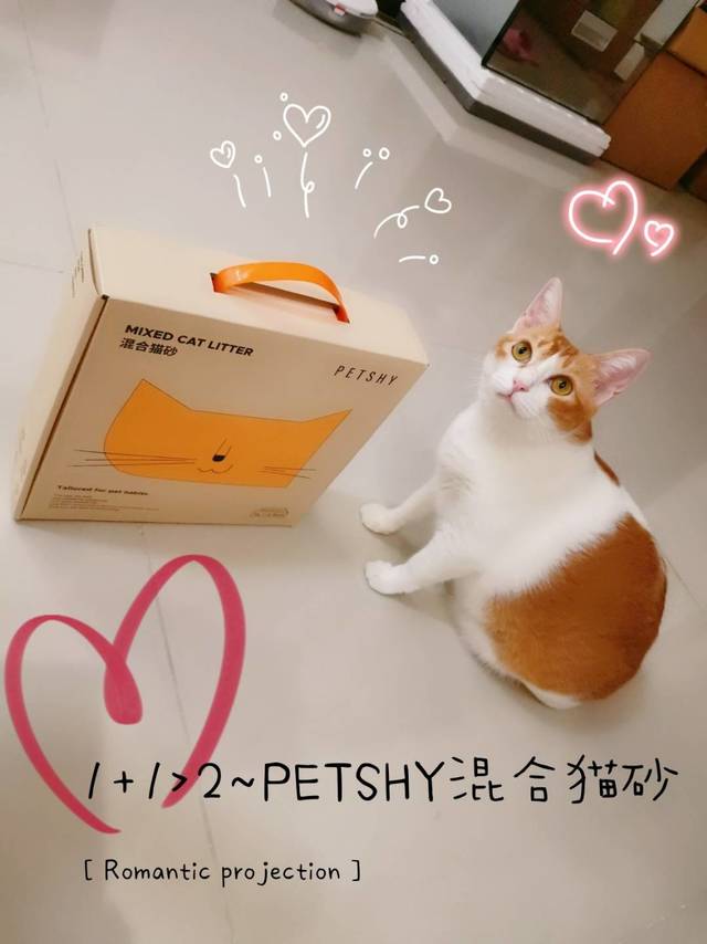 petshy萌宠好物