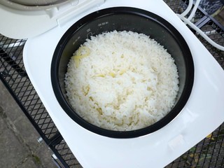 小巧便携的电饭煲，米家米家电饭煲1.6L