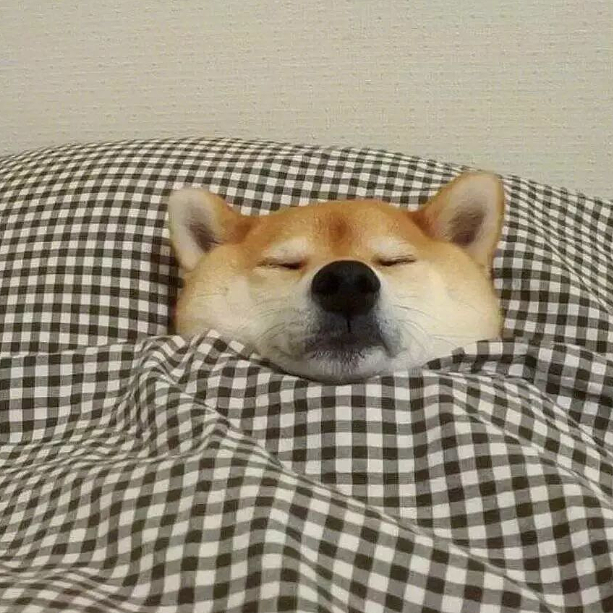 不知道秋冬被子怎么选？认准这四点就有好梦