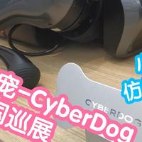 小米新宠CyberDog。小米秋季发布会惊喜之铁蛋。32N·m伺服电机，11个传感器