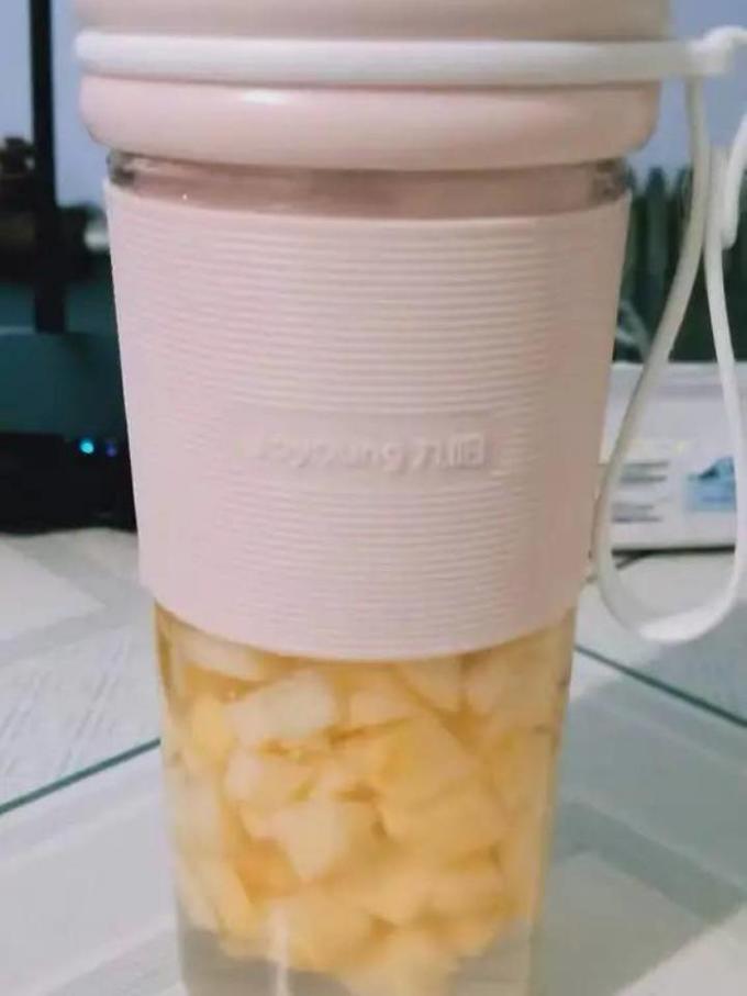 九阳普通榨汁机