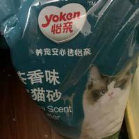绿茶豆腐猫砂