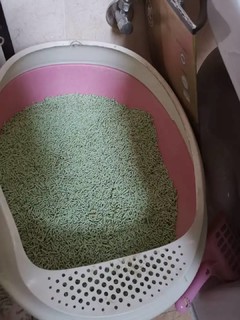 绿茶豆腐猫砂