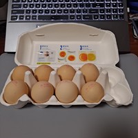 黄天鹅鸡蛋，宝宝每天早晨都要吃一个