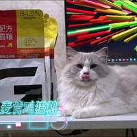 峰会级的品质  高爷家麦肯鸡全价猫粮