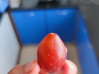 对于一种新水果的评测-西梅