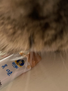 美味宠物零食金枪鱼猫条