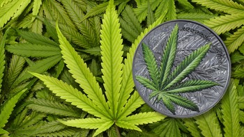 世界纪念币鉴赏 篇九十八：大麻叶-2021年贝宁银币