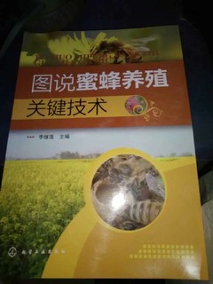 蜜蜂高效养殖书籍