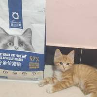 ​国产猫粮宠熙怎么样？