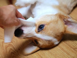 大容量安全湿纸巾这款很好用