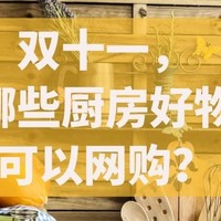 强哥图文生活 篇四十八：装修不踩坑，双十一哪些厨房好物可以网购？（冰箱集成灶洗碗机破壁机等精选