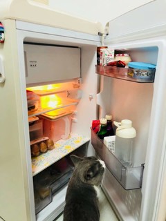 小吉 风冷单门冰箱