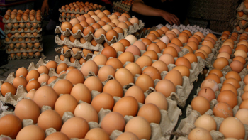 中秋节买鸡蛋，遇到红皮和白皮怎么选？养殖户说漏嘴，可别买错了