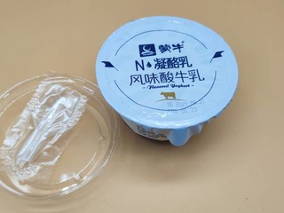 非常不错的酸奶，蒙牛凝酪乳。