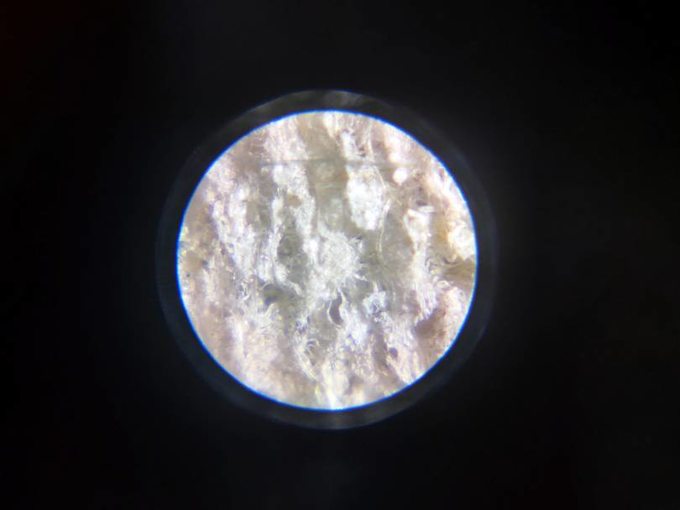 小米显微镜