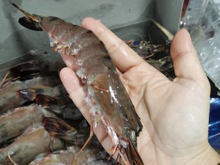 京觅泰国黑虎虾连壳都是咸香咸香的