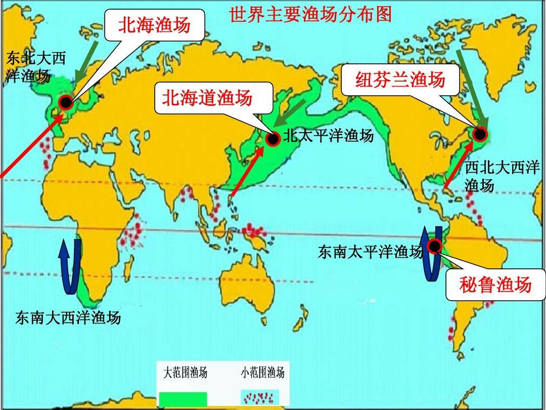 真香：蟹夭！黄油蟹、松叶蟹、皇帝蟹、老虎蟹......7大高端蟹，一文安排上！