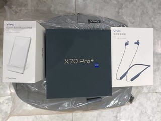 晒物vivo x70pro+细节满分