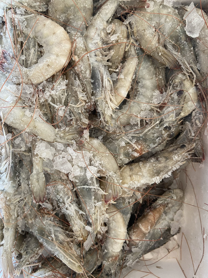 虾类