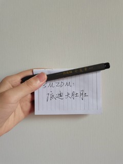 写字超好看的斑马秀丽笔