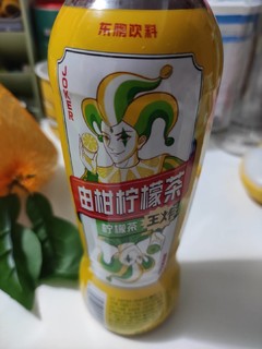 东鹏 由柑柠檬茶