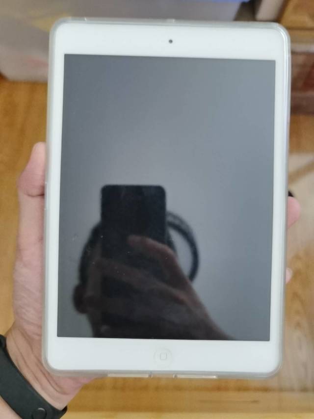 第一代的iPad mini