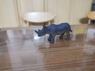 儿童犀牛玩具，这头犀牛好威风