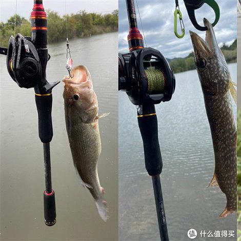 159元的Abu Garcia 阿布加西亚 复仇三代翘嘴竿 2.59M