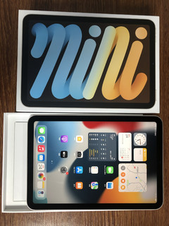 iPad mini6终于到手啦。