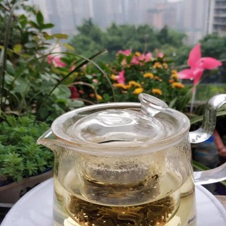 好喝的茉莉花茶，推荐给大家