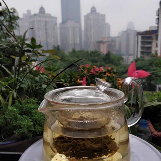 好喝的茉莉花茶，推荐给大家