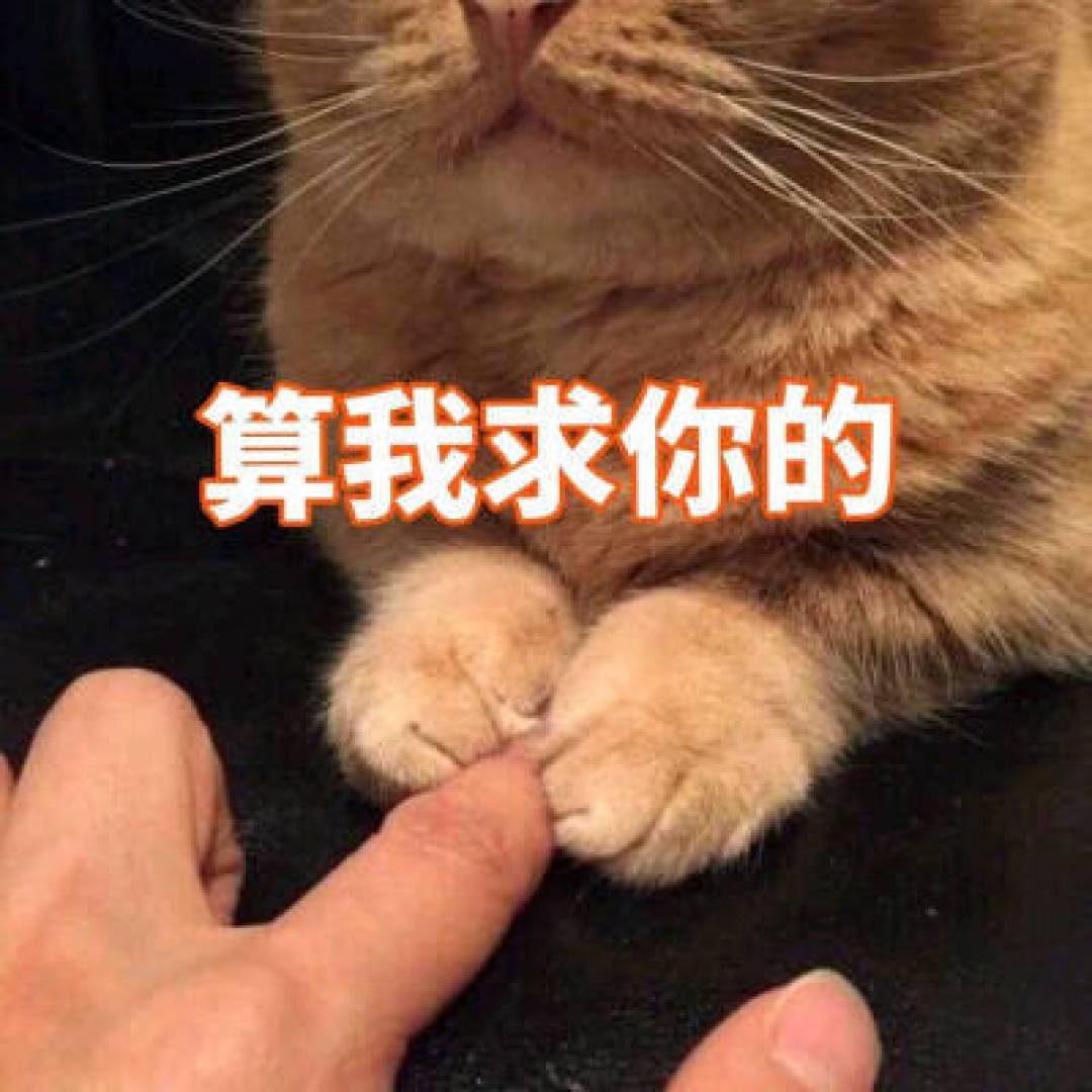 征稿活动活动已过半大奖却还在是小编的错果然爱是