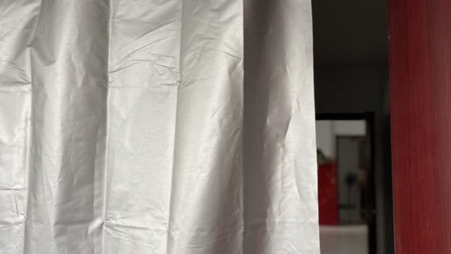 美人卷珠帘，深坐蹙蛾眉