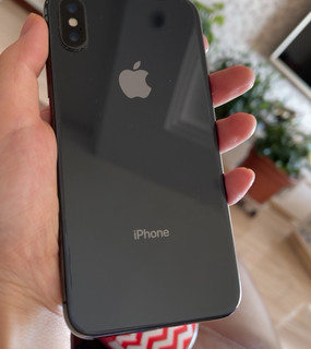 iPhone X 人像模式不只可以拍人像