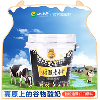 小西牛青稞黑米老酸奶藏之宝高原谷物酸奶青海特产150g*12杯