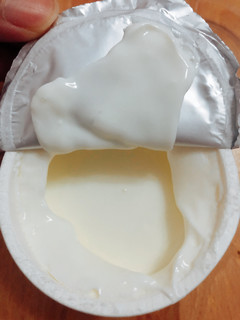 酸奶爱好者必须要尝尝的一款发酵乳