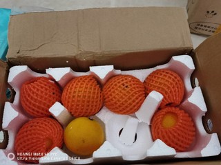 果冻橙