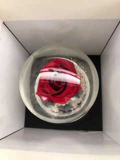 超好看的安妮姐红玫瑰花礼盒