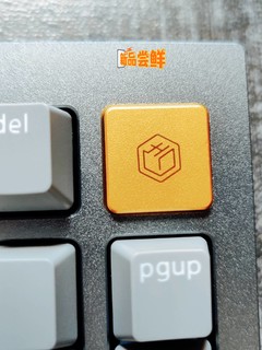 以为是退烧，其实是入坑